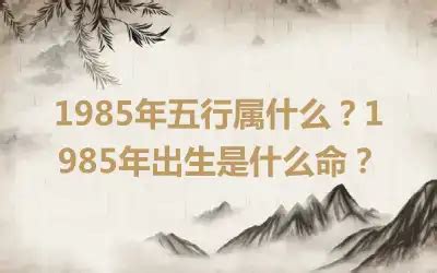 1985年五行|1985年出生是什么命运势如何？什么五行？